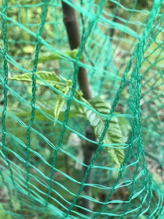IMG_1626.JPG