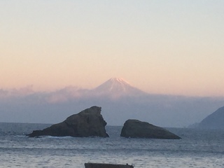 IMG_3450.JPG
